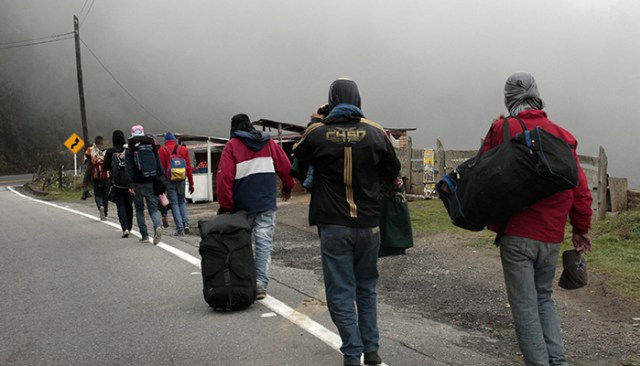 Migrantes