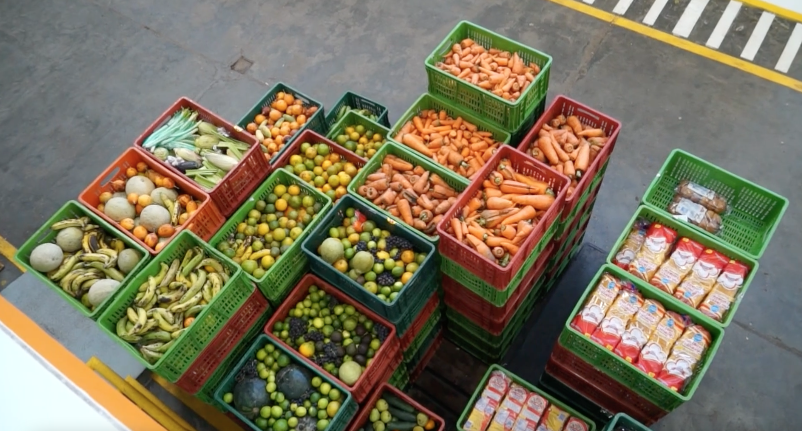 alimentos