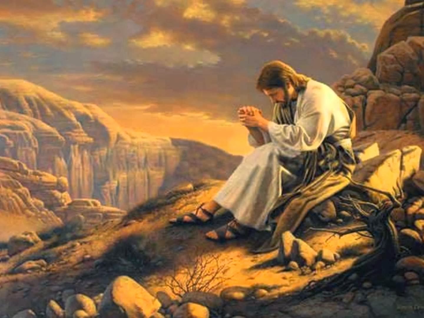Liturgia Febrero 18 El programa del trabajo cuaresmal