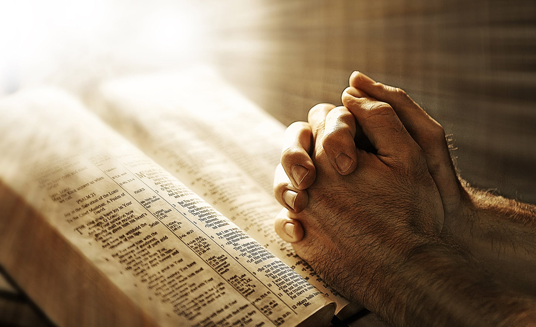 Reflexiones para sumergirnos en el amor de Dios, renovar nuestra fe y esperanza