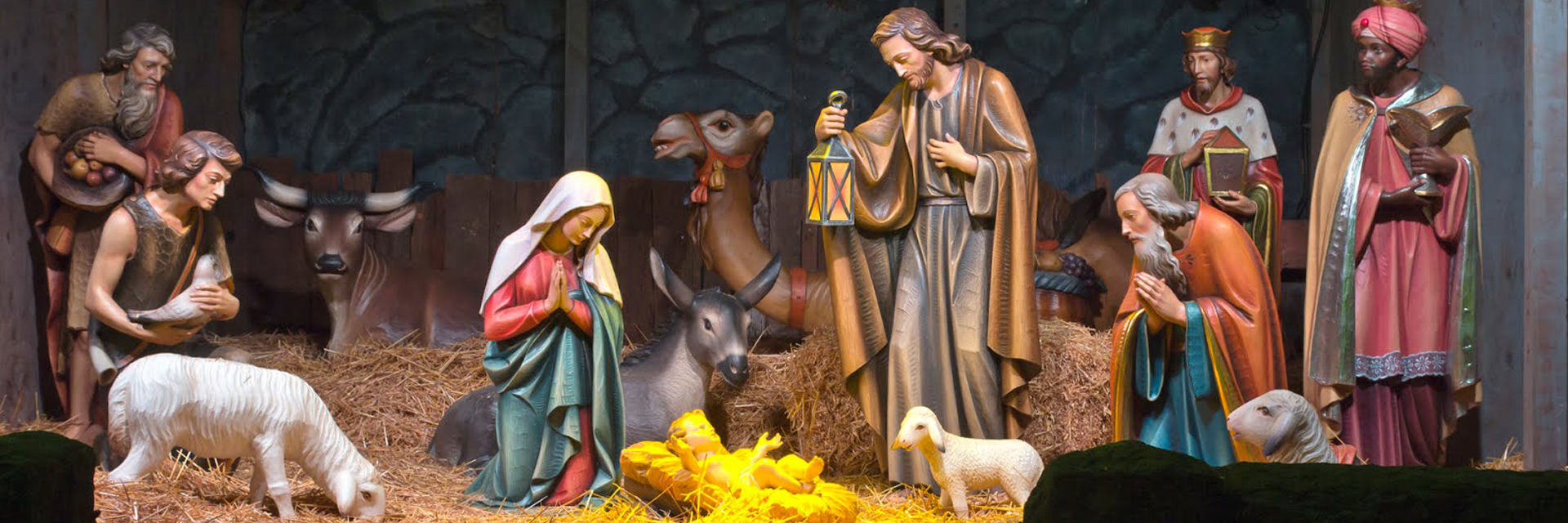 Gran pesebre en Vivo - Catedral Primada de Colombia