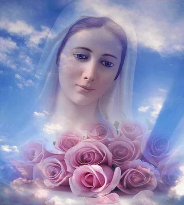 Santo Rosario: “Rosas para María”
